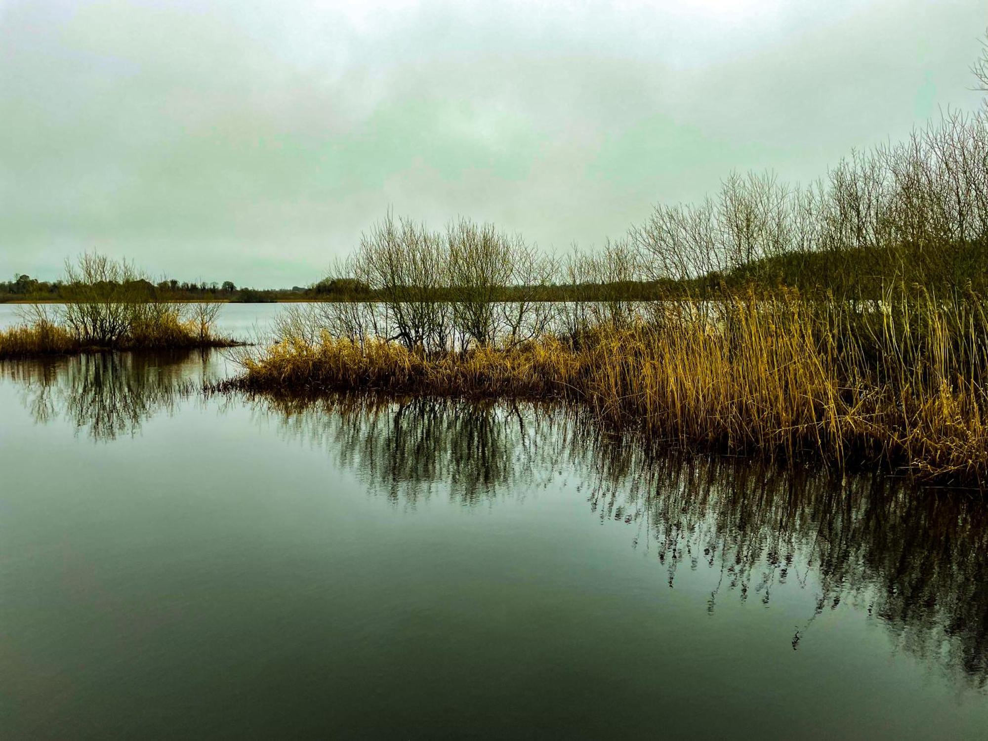 Lough Rynn Rental Mohill Exteriér fotografie